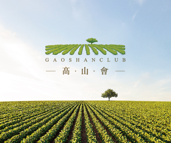 logo設(shè)計(jì)公司_提供湖面logo設(shè)計(jì)專業(yè)指導(dǎo)